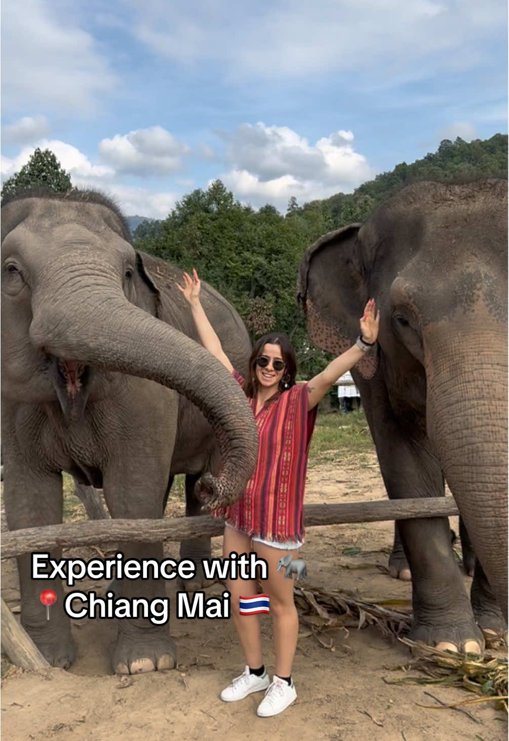 Beautiful experience in an Elephant’s Santuary in Chiang Mai 🇹🇭#fyp #foryou #foryourpage #elephantsthailand #thailand #chiangmai 