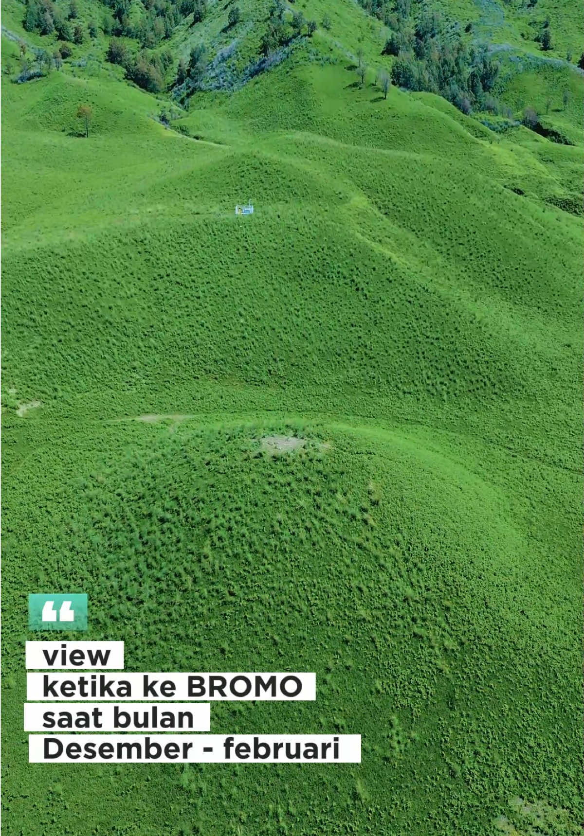 Vibes Savana Bromo di bulan desember - januari, Yuk segera agendakan liburan kalian ke bromo #fyp #bromo #sunrisebromo #pakettripbromo #paketwisatabromo #privatetripbromo 