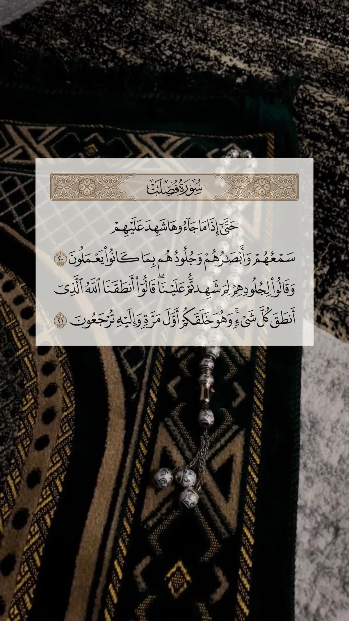 Subxanallah🥹 #quran_alkarim #sheekh_xusen_cali_jabuti #muslimtiktok #Quran #القران_الكريم #foryoupage #remainder