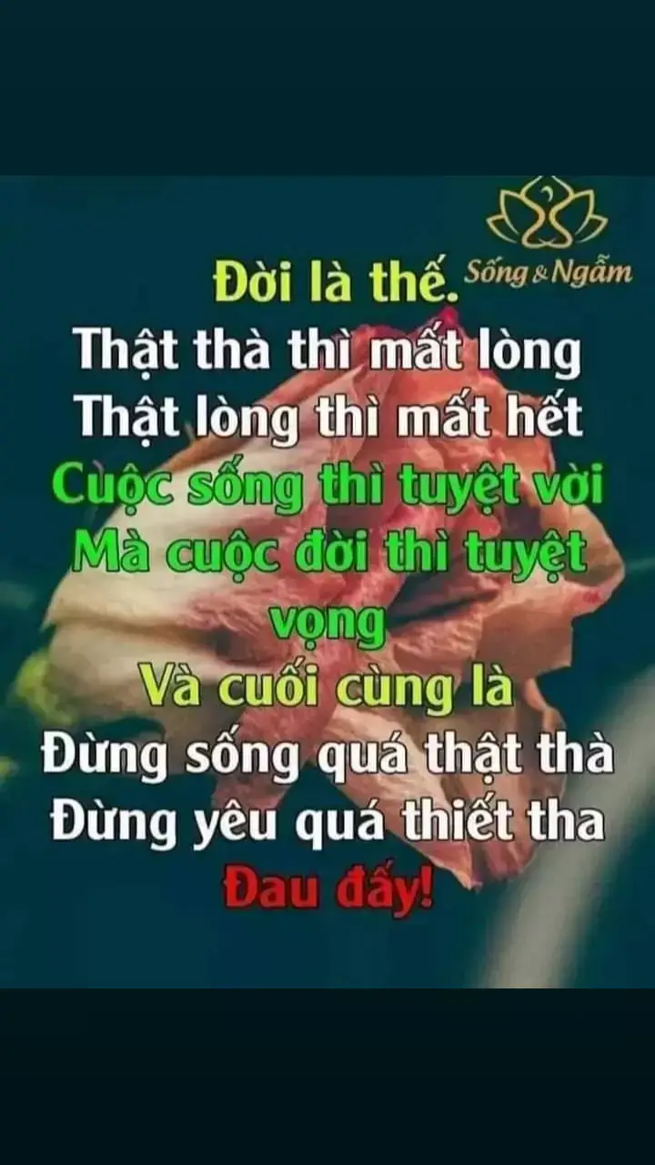 muôn vàn những điều khó khăn  cố gắng thôi 