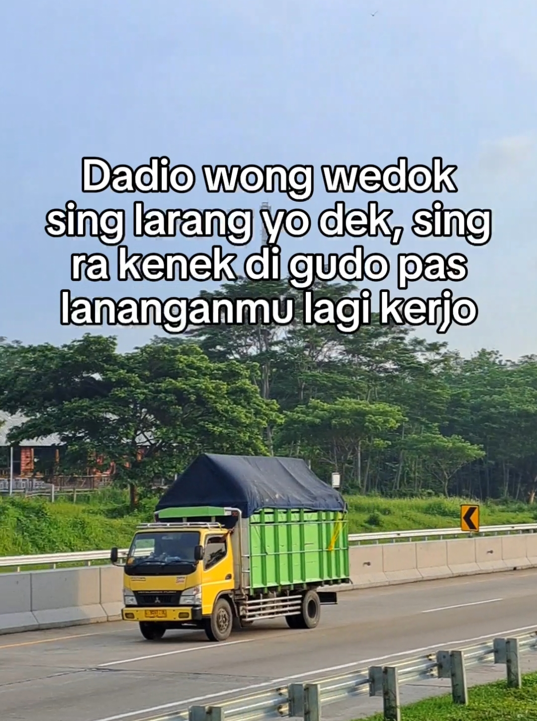 😇#foryoupage #arieswdyt #fyp #masukberanda #truckcabe 