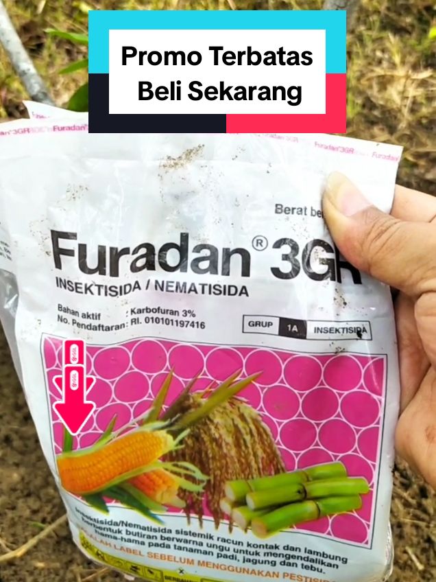 Punya masalah dengan hama di kebun atau ladang? Yuk, kenalan sama Furadan Insektisida Nematisida! Membantu melindungi tanaman dari serangan serangga dan nematoda. Cukup pakai sesuai dosis, tanaman jadi lebih sehat, panen jadi lebih maksimal! Promo TERBATAS, jadi buruan sebelum kehabisan! Klik keranjang kuning sekarang untuk dapetin harga spesial. Gak mau rugi kan? ✅ Membantu mengendalikan hama ✅ Cocok untuk berbagai jenis tanaman ✅ Gampang dipakai Lindungi tanamanmu, tingkatkan hasil panenmu! #Furadan #insektisida #nematisida #wibgajian  Cek produknya sekarang dikeranjang kuning, siapa cepat dia dapat!