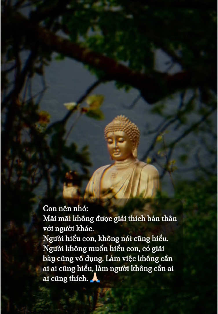 Người không chịu hiểu thì mãi mãi không bao giờ hiểu. 🙏🏻 #đạophậtvàđờisống 