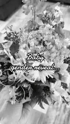 Our sweet little honey #2 is a…!!! We are so excited and grateful for this little honey to join us in April 🫶🏼 #genderreveal #babygenderreveal #flowergenderreveal #toddlermom #pregnant #pregnancyjourney #two2andunder #girlssupportinggirls 