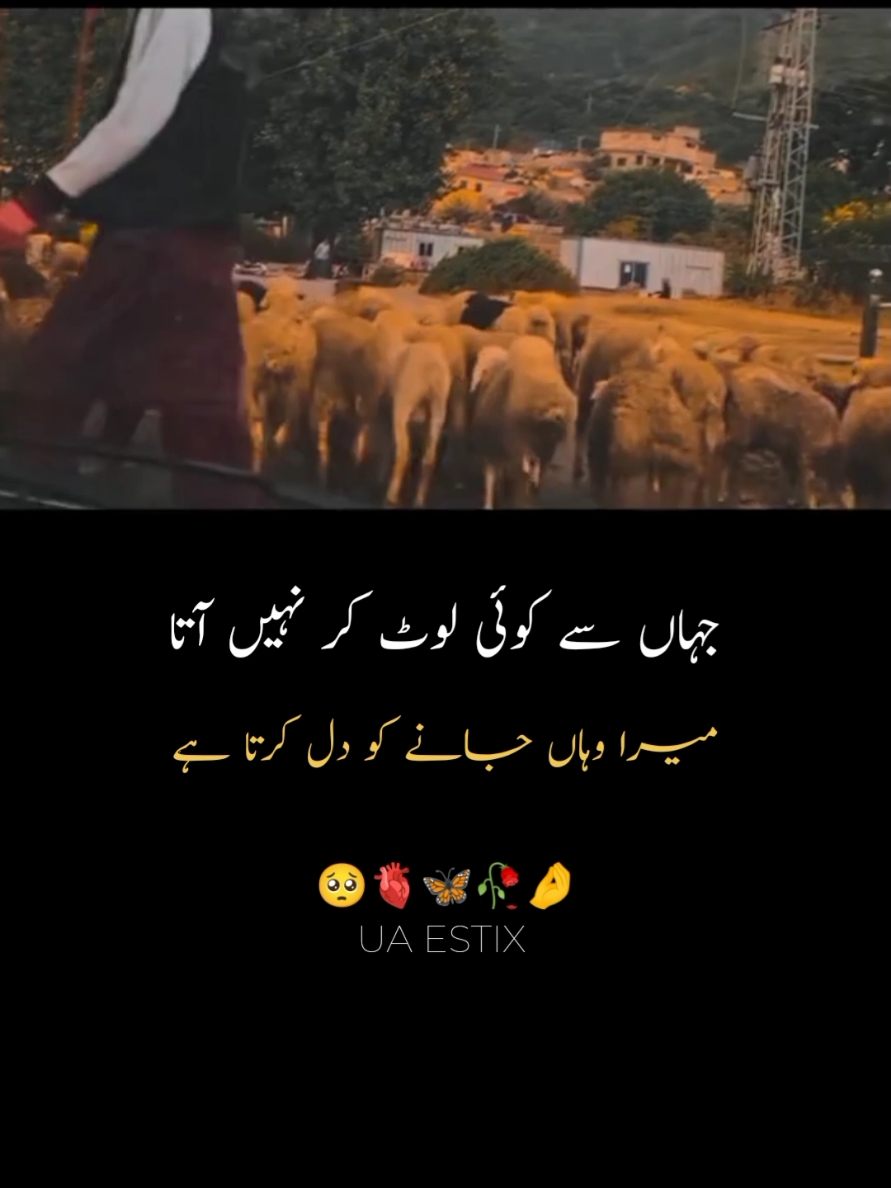 ❤️‍🩹🥺 #viewsproblem😭  #fypage #unfreezemyacount🥺  #growmyaccount #dontunderreviewmyvideo #standwithkashmir #dark_ali 