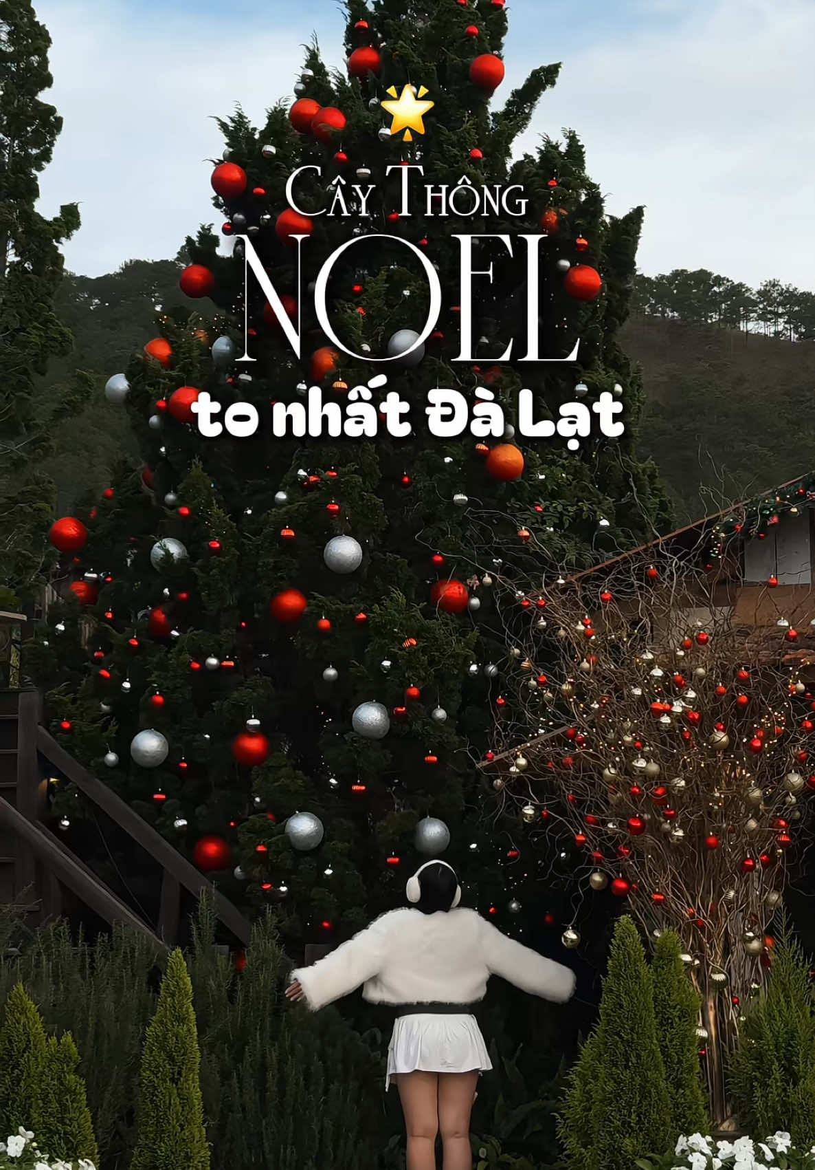 cây thông Noel khổng lồ siêu đẹp ở Đà Lạt🎄🧣 #cafe #reviewcafe #dalat #dalattrip #reviewdalat #dichoimoingay 