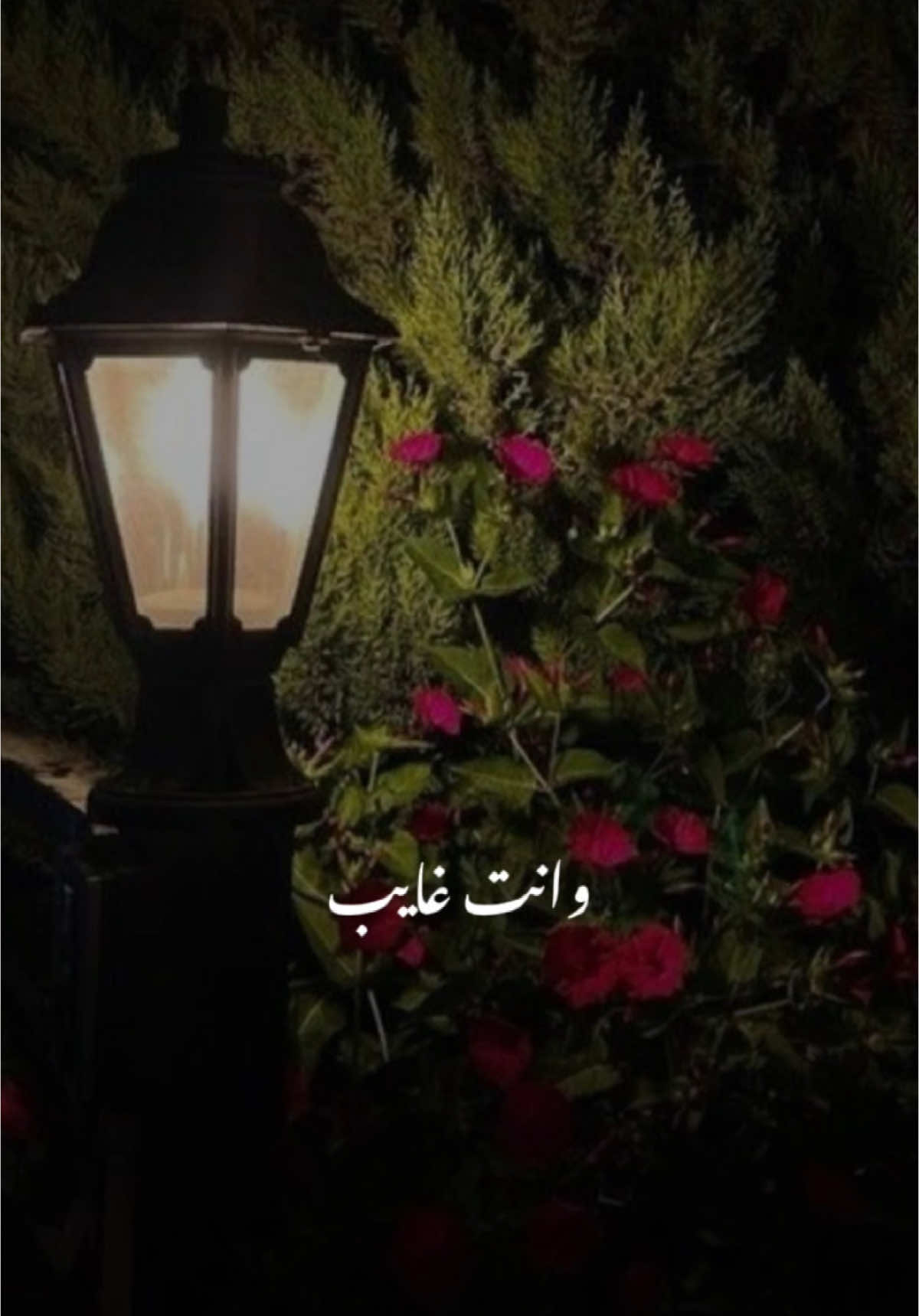 وانت غاااايب🥹❤️#ماجد_المهندس #ماجد_المهندس_الطرب_والاحساس #فن#طرب#ذوق#عمان#اكسبلور