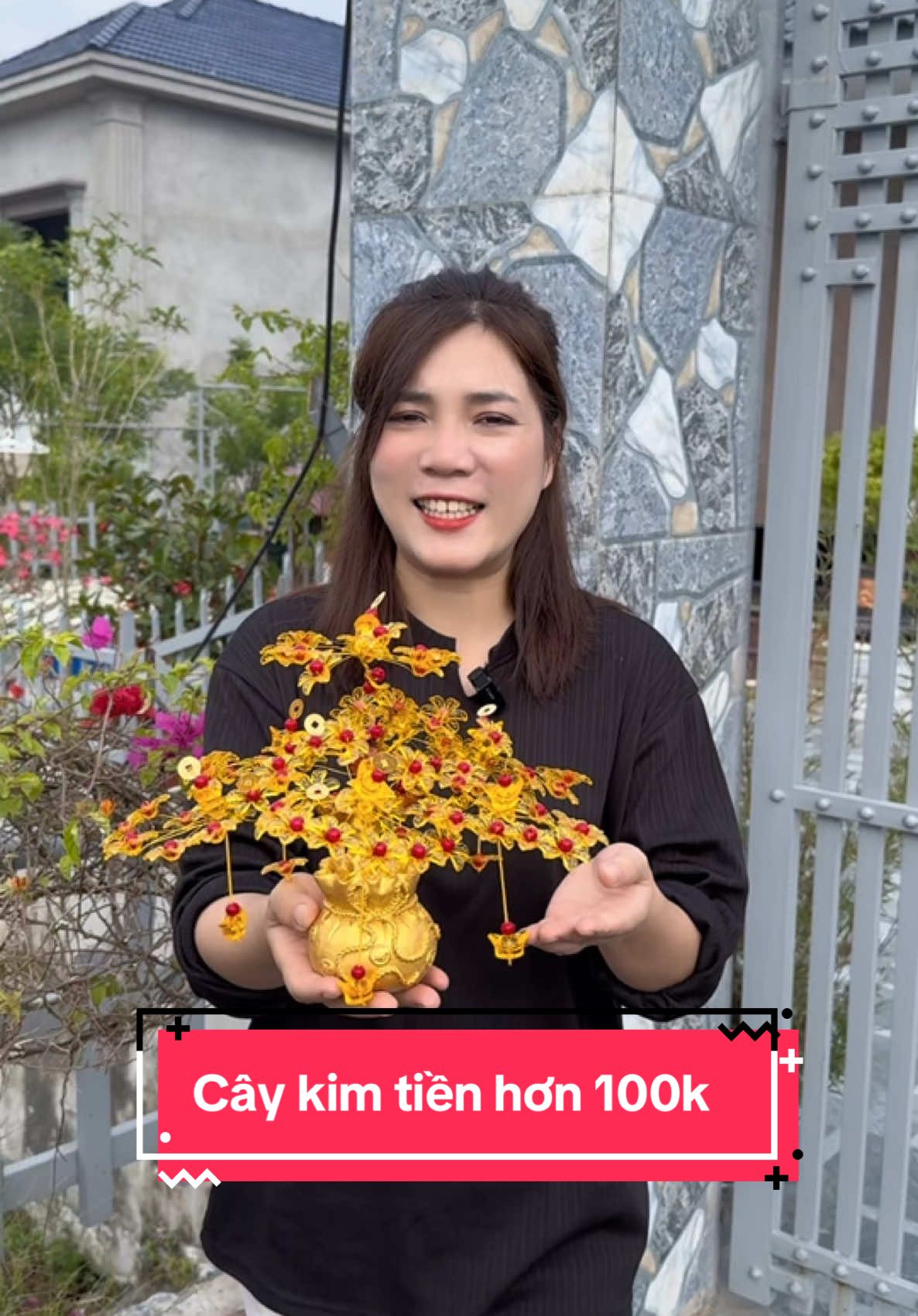 Thấy cây kim tiền là lắm lộc rồi anh chị e ơi trưng ở đâu cũng đẹp ạ #caykimtientailoc #caykimtienmayman #caykimtientrangtritet #caykimtienthantai 