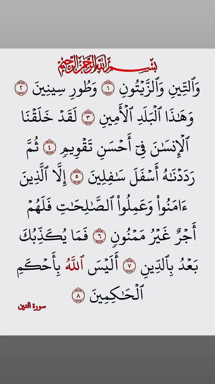 #quran #quran_alkarim #اللهم_عجل_لوليك_الفرج #القران_الكريم_راحه_نفسية😍🕋 #قران_كريم #القران_الكريم #قران #🤲🤲🕋🕋🤲🤲 