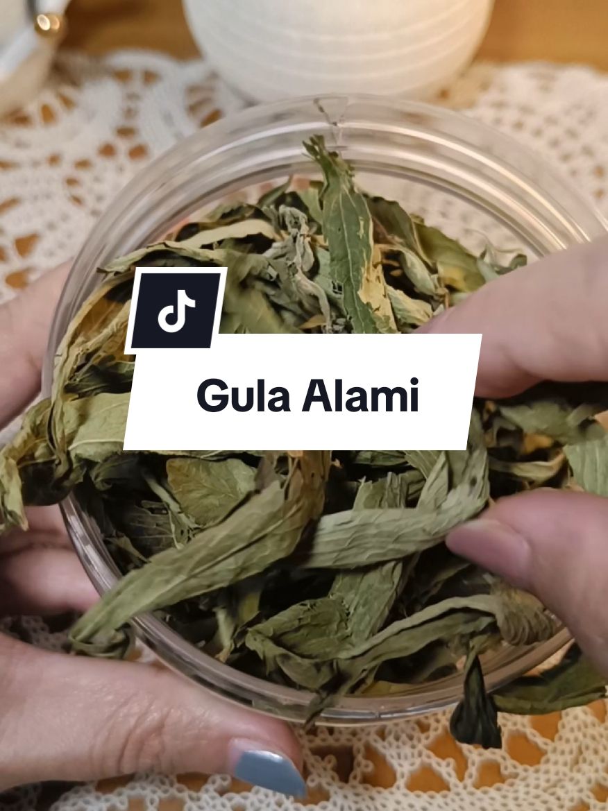 Daun Stevia Kering ❤️ daun pengganti gula #daunstevia #stevia #gulaalami #daunsteviapenggantigula #steviapemanisalami #megaguncang1212 #tehbunga #tisane 
