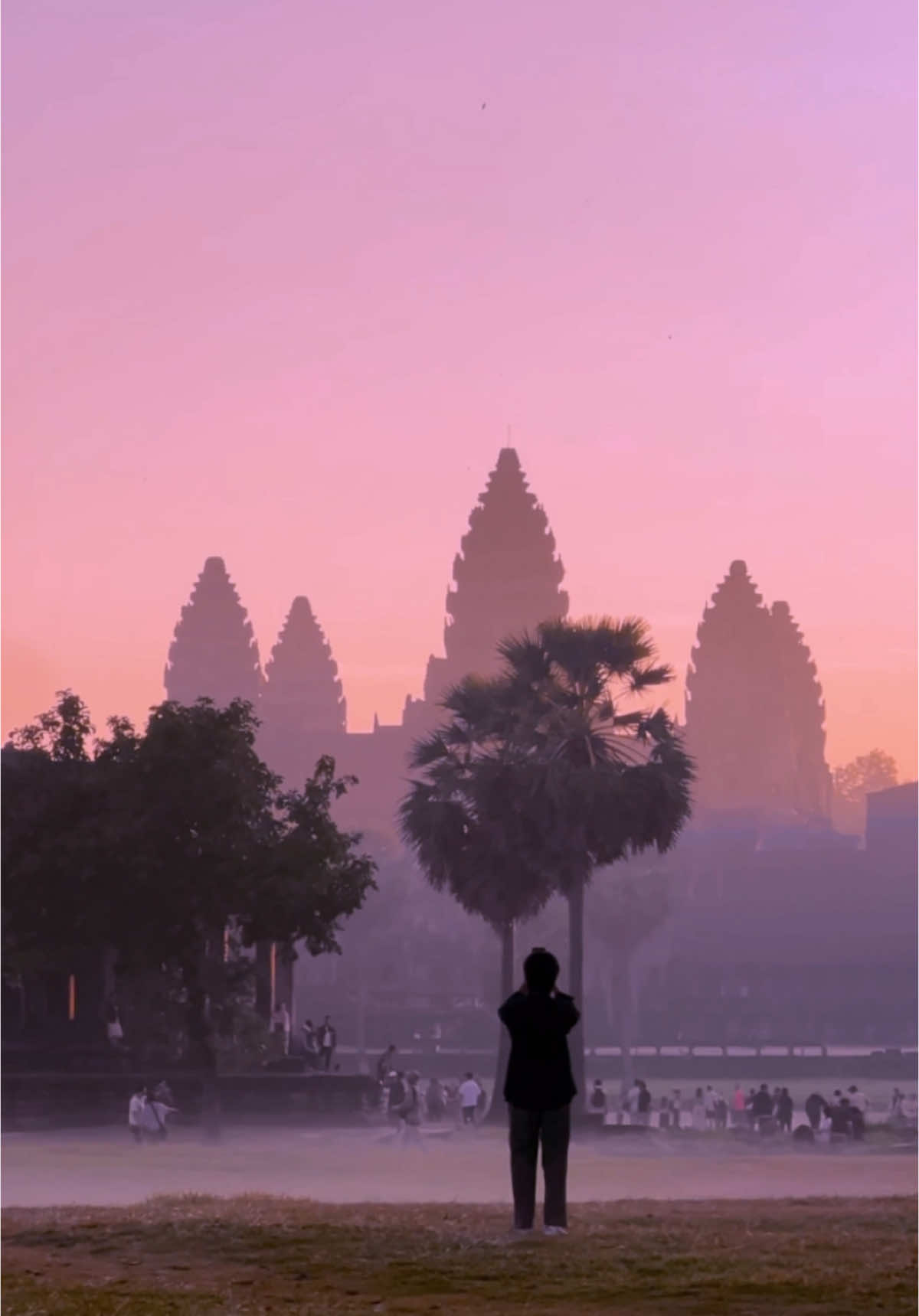 Angkor wat this morning 🌸
