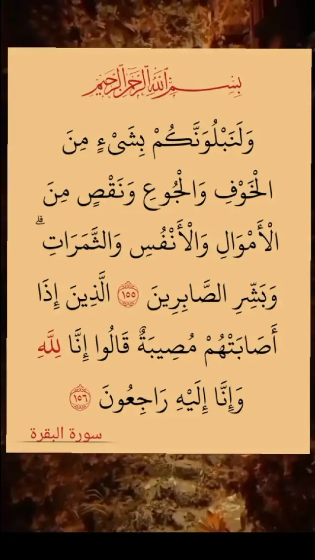 #القران_الكريم #اجر_لي_ولكم 