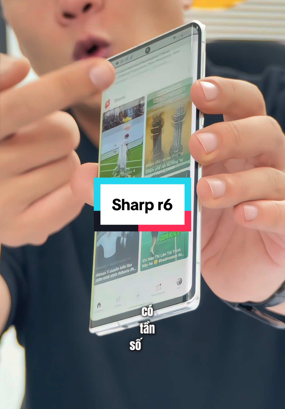 Điện thoại Sharp R6