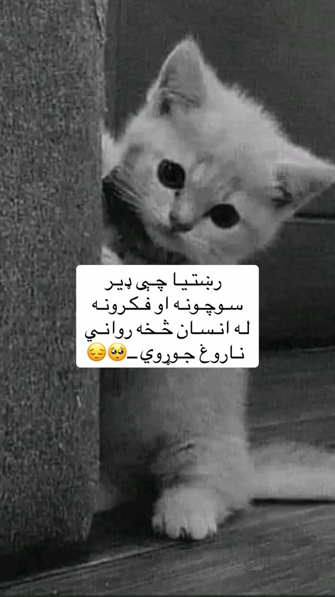 #🥹🥺🥺💔💔💔😒😒 #زړه_تنګون😢😭 