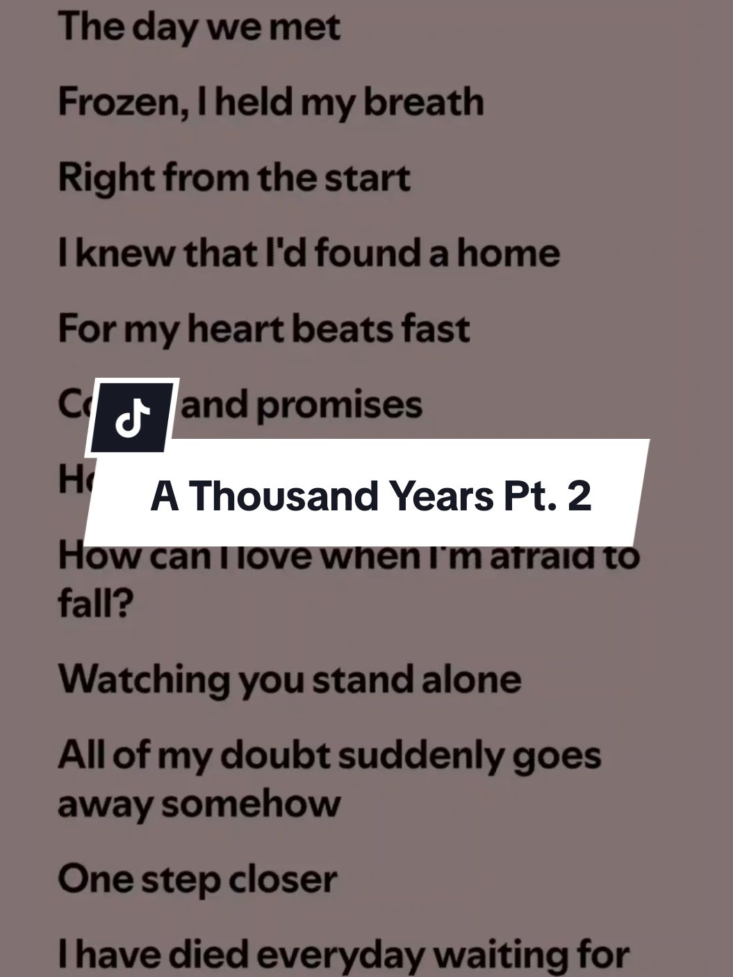 A Thousand Years Pt. 2 lyrics by Christina Perri ft. Steve Kazee #spotify #lyrics #athousandyears #fullsong #songlyrics #popular  #christinaperri #stevekazee #fyp  #music_lyrics1594 