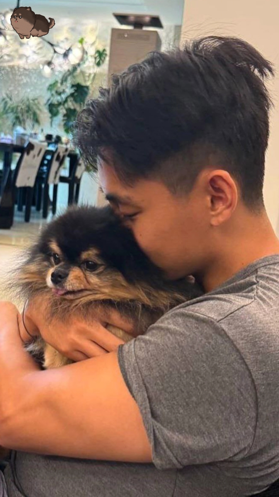 rest in peace yeontan🥺we love u🥺🥺😭#yeontan #yeontan🐶 #ripyeontan #fyp #fypage #fyppppppppppppppppppppppp #fypp #fypシ゚ #4u #4upage #4upageシ #xyzabc #xyzbcafypシ 