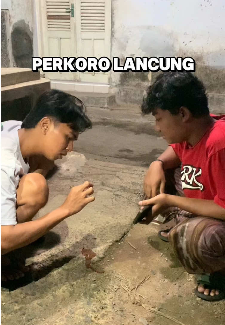 untunge ora kencot💩😂 #pekalongan #bolongopi #foryou 