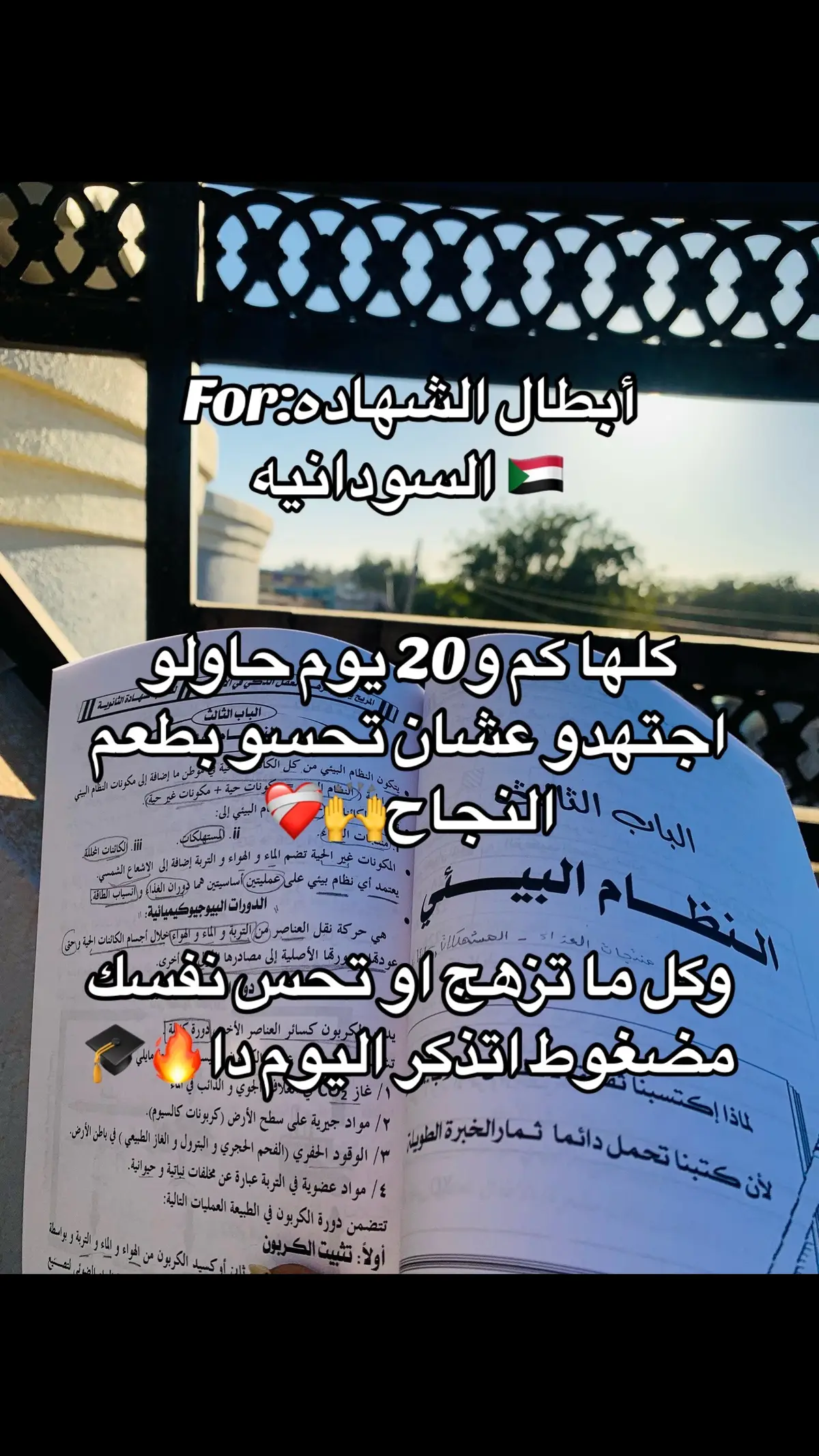 ابطال الشهاده السودانيه🙌❤️‍🩹🔥#الشهاده #مالي_خلق_احط_هاشتاقات #مالي #ثالثه_ثانوي_علمي #السودان 