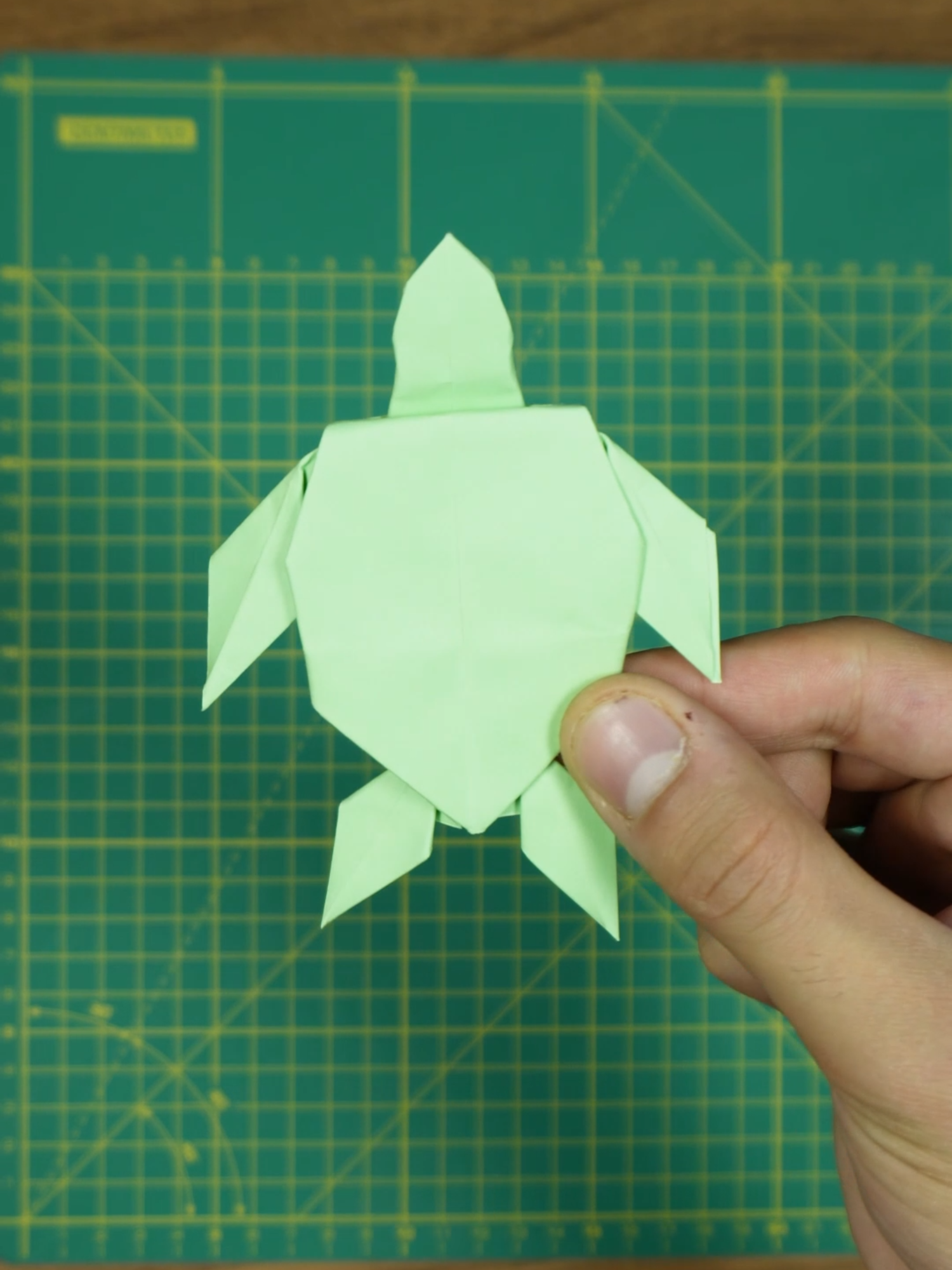 Origami Turtle #origami #turtle #origamitutorial #papercraft #DIY