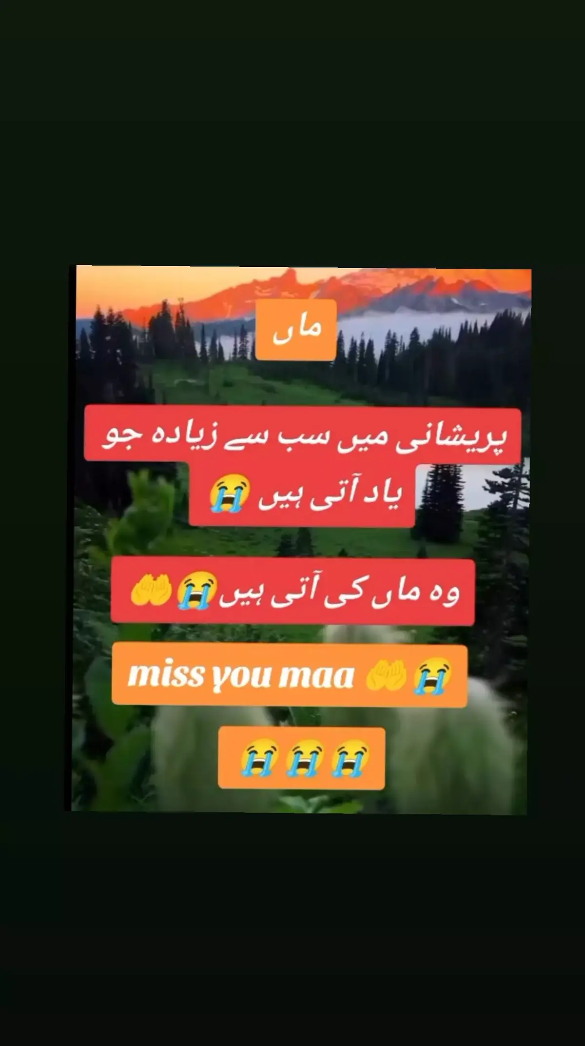 #maakimamta😭😭😭 #maakiyaad #maakishan #maakidua #maakapyaar #sadstory #sadpoetry #urdupoetry #1millionviews #viralvideos #tiktokteamviralmyvideo #viwsproblem #faryou #faryoupage #faryourpage 