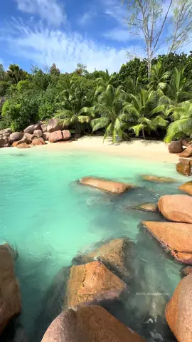 Praslin Seychelles  #seychelles #seychellestiktok🇸🇨 #mylifethroughmyeyes #travelwithmylifethroughmyeyes #vacationspots #perfectplace 