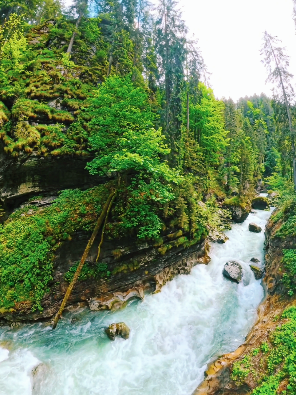 #germany🇩🇪 #Nature #travel #waterfall #river #naturlover #scenery #Outdoors #relaxing 