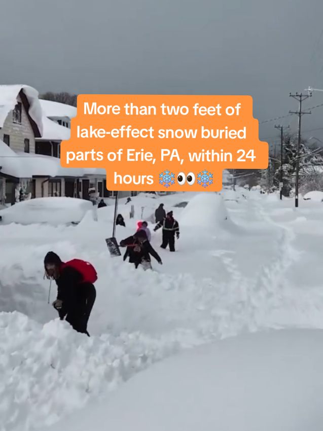 More than two feet of lake-effect #snow buried parts of Erie, PA, within 24 hours ❄️👀❄️ #snowfall #snowstorm 