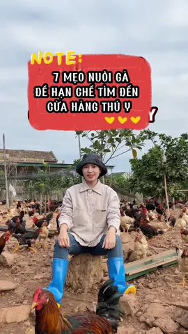 7 MẸO NUÔI GÀ ĐỂ HẠN CHẾ TÌM ĐẾN CỬA HÀNG THÚ Y  #TikTokAwardsVN #hamychannuoi #bigking #channuoi #channuoiga #meochannuoi #phongbenh 