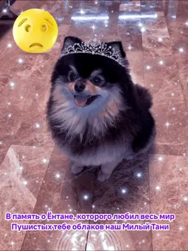 В память о Ёнтане которого любил весь мир... #v #thv #taehyung #tani #yeontan 