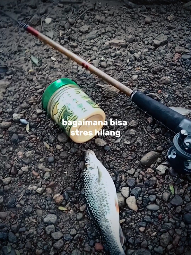 yang penting engga boncos😁 #mancing #mancingikan #mancingmania #mancingkuy #mancingliar#fishing #fishinglife #fishingtiktoks #fishingtips #fishingtime #fishingrod #fishingtrip #fishingfun #microfishing #mancingikan #ikan #sungai #rasbora #nilem #fypmancing #fyp #wader #fypage #fyppppppppppppppppppppppp #fypシ゚ 