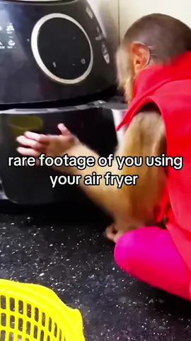 rare footage of you using your air fryer #rarefootage #fyp #monkey #you #airfryer 