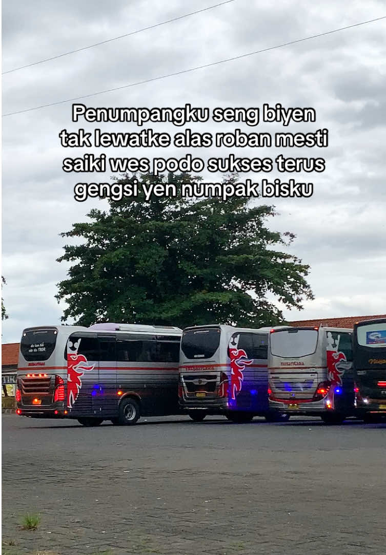 Riwayatmu kini Nu3tara😇. Pelopor bus mewah dimasanya, sering dijuluki Imam Pantura dengan tagline “FLYWHEEL” & “It’s SHOWTIME” menandakan po ini memang benar benar pelari handal yang siap menjregal siapa saja yang ada didepannya sepanjang arteri Pantura, ditambah banyak diantaranya menggunakan chasis premium macam scania,volvo,mercy menjadikan po ini benar-benar tak terbendung kerika sudah lari.. Lekas bangkit kembali Nusantara🔥 #xybca #videobus #busmania #nusantara #busmalam #masukberanda #fyp 