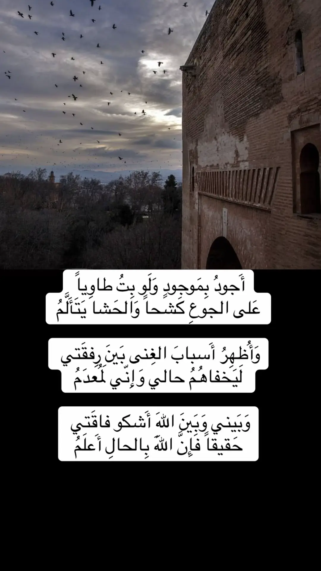 #قصايد_شعر_خواطر_شيلات_الاكسبلور#غرناطة#قصر_الحمراء_الأندلس#