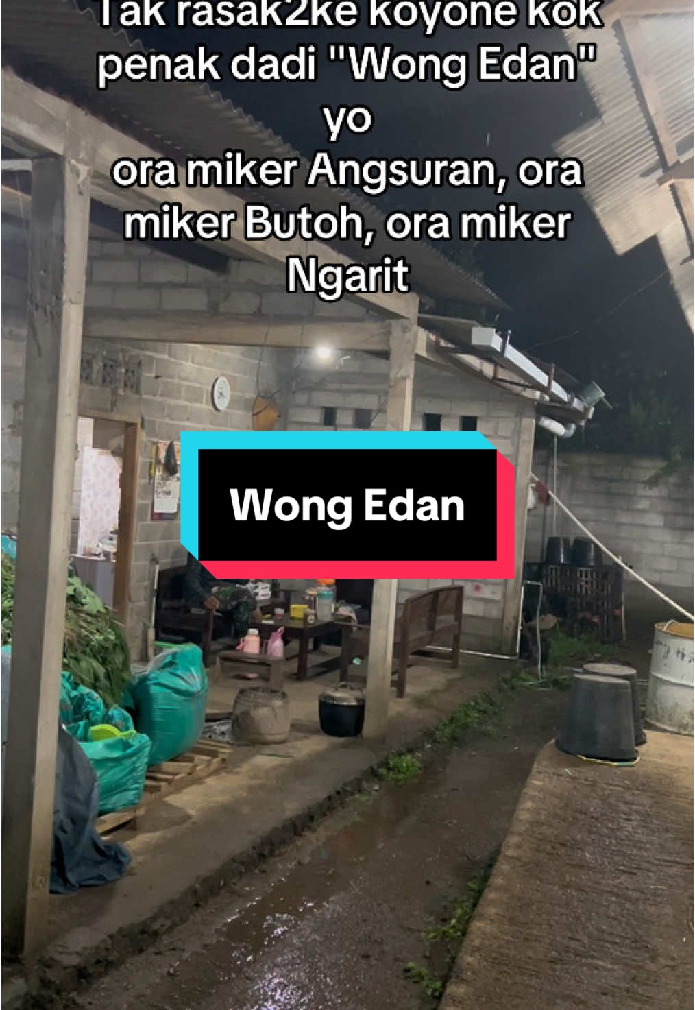 Mosok yo meh dadi wong edan🙈 #baba_farm #peternakdomba #peternakmuda #fatteningdomba #bredingdomba #merino #merinos #peternakmilenial #peternakmudaindonesia #tukangngaritindonesia #tukangngarit #fyp #fypシ゚viral #fyypppppppppppppppppp #xyzbca #lewatberanda #tranding #trandingvideo 