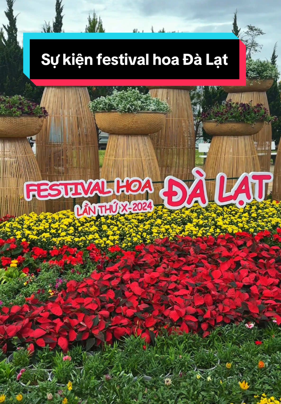 Khai mạc festival hoa Đà Lạt với nhiều ca sĩ nổi tiếng, xem free ko bán vé mọi người nha. #dalat #ongboreviewdalat #dalatreview #reviewdalat 