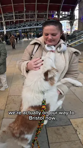 Interactions with my dog!!  #doglover #london #viral #pets #fyp #foryou #foryoupage #dog 