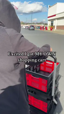 No more messing with dirty shopping carts #fyp #shoppingcart #tiktokshopcybermonday #organize #shopping 