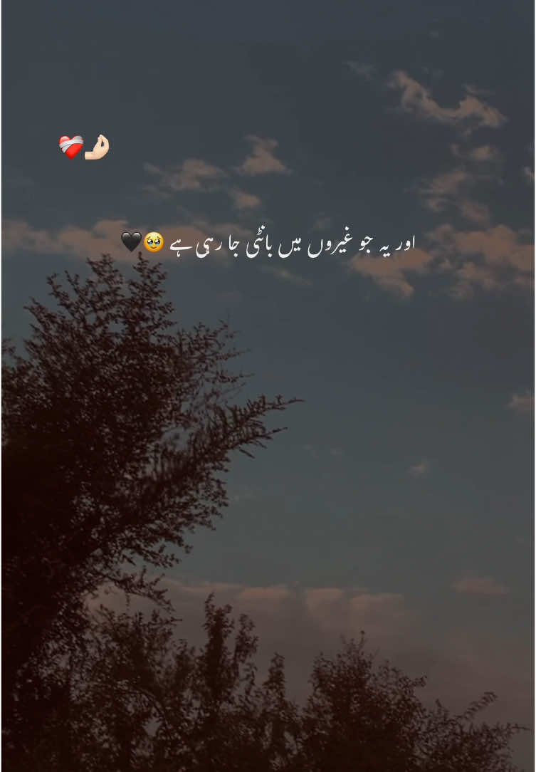 اُسے ملتی ہی نہیں   ہے اب فرصت شاید 😔#fyp #1millionaudition #foryoupage #account #grow #viral #aesthetic #urdu #poetry 