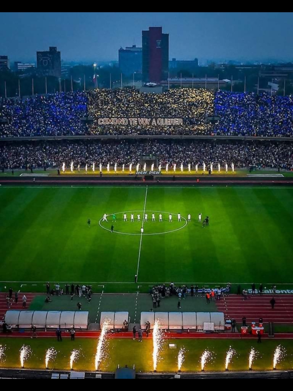 Amor a los colores 💙💛 #fypシ #orgulloazulyoro💙💛 #pumasunam #pumasdesdelacuna 