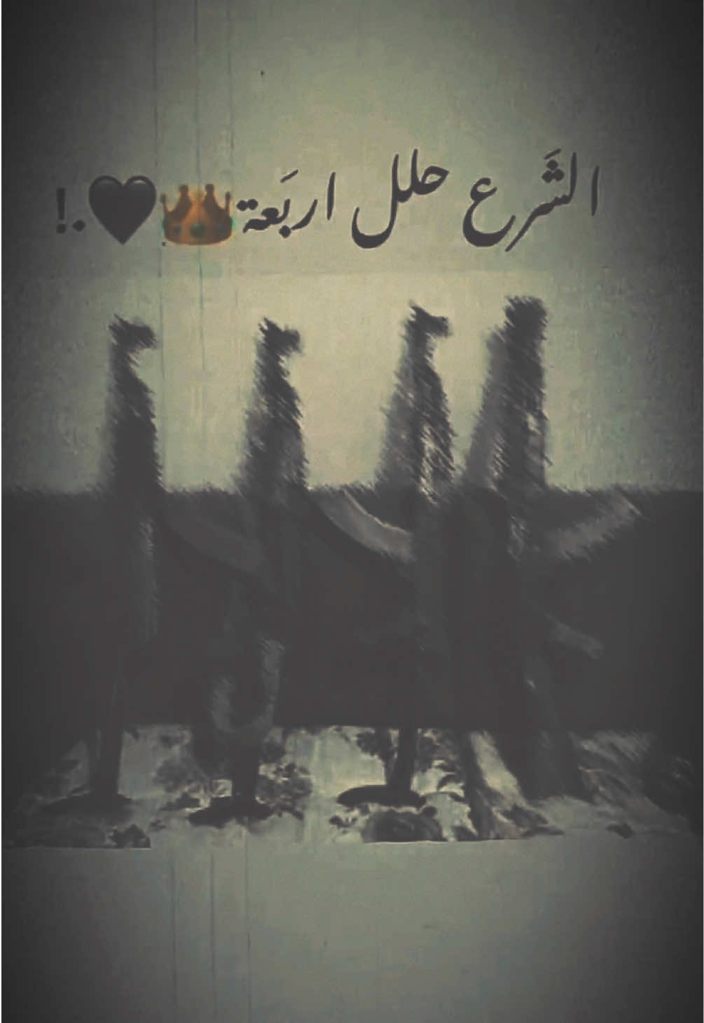 الـشَـرع حلـل اربَـعتـ . 🖤 🦅 . ` #اكسبلور #ستوريات #تعلوانستا #01tmx✌🏿 #عبراتكم_الفخمه📿📌 #tiktokindi #01adana #01 #TK #communityfest #livefest2024 #ترند #tmx #travel #tips #تيك_توك #teammoment 