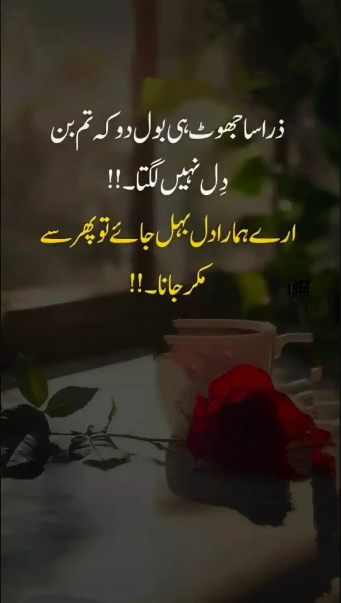 🖤#ishq #muhabat #bewafa #poetry #respectmoment #viral #foryou #unfrezzmyaccount 