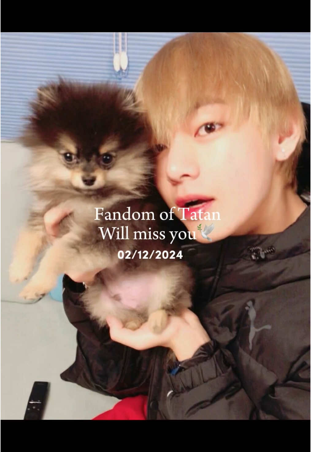 I became an Army around the same time Tae got Yeontan,so I literally watched him grow up along with a lot of other Armys. Tae got him knowing that he wasn’t healthy and had heart issues. The way he and the other members treated Yeontan. Like he is 8th member of Bangtan! Even was the cover of Taehyung ‘s debut solo album 