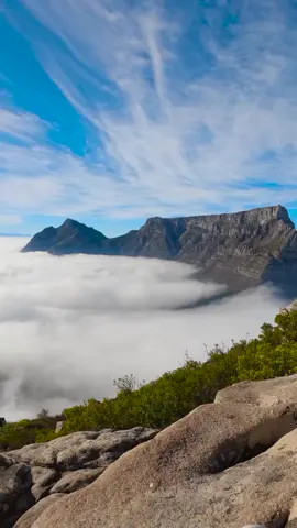 Even wrapped in a blanket of mist, Table Mountain’s beauty is undeniable—a true testament to Cape Town’s magical allure. 💙 👉🏻 Let us know what you love most about Cape Town Reel by @seanmomsen #globetrotter #passionpassport #instagramtravel #beautifuldestinations #destination #travelinggram #capetown #travelgram #thisiscapetown #ig_capetown #wonderlust #exploretheworld #bestdestinations #explore #ig_southafrica #instagramcapetown #westerncape #meetcapetown #southafrica #seekadventure #capetowntravel #explorecapetown