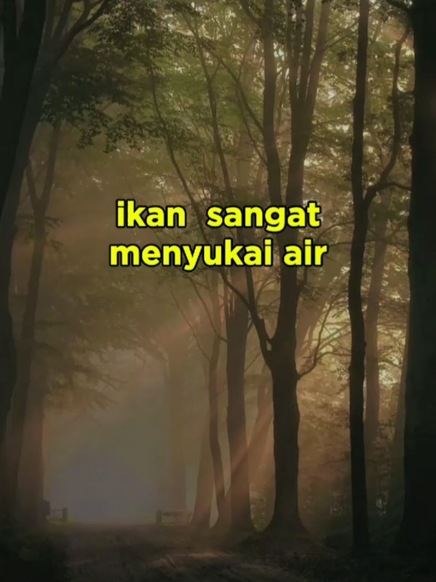 bila ikan menyukai air kenapa air malah merebus ikan #katakatainspirasi #katakatamotivasi #katakatabijak #inspirasi #kata2bijak_motivasi 