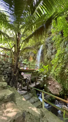 Have you ever stood under a 50-foot waterfall? Toraille Waterfall is one of Saint Lucia’s largest waterfalls, and trust us, it is an experience you do not want to miss! You can visit this popular attraction on our Tout Bagay tour or include it in your private full day.#SaintLucia #toraillewaterfall #toutbagay