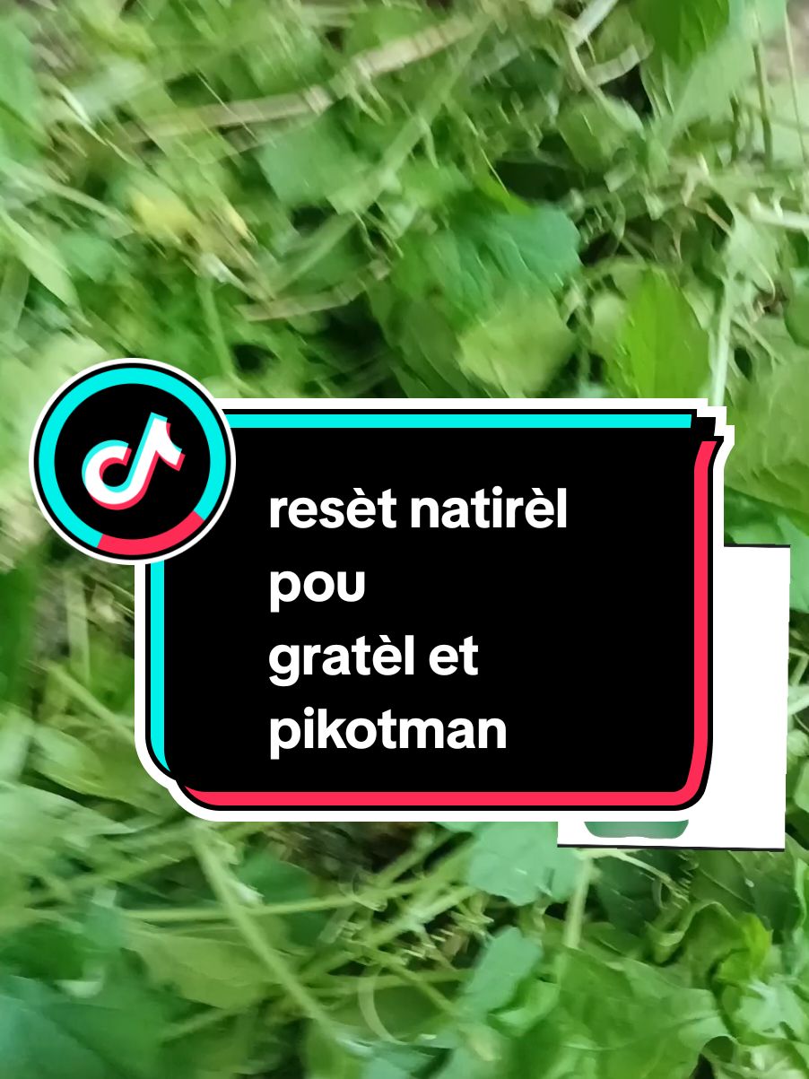 #Recipe #homeremedies #ayiticherie509 #haitiancanadian🇭🇹🇨🇦tiktok #haitiennetiktok🇭🇹🇭🇹🇭🇹🇭🇹😍😍😍😍 #recipes #homeremedy #remedy #gratel 