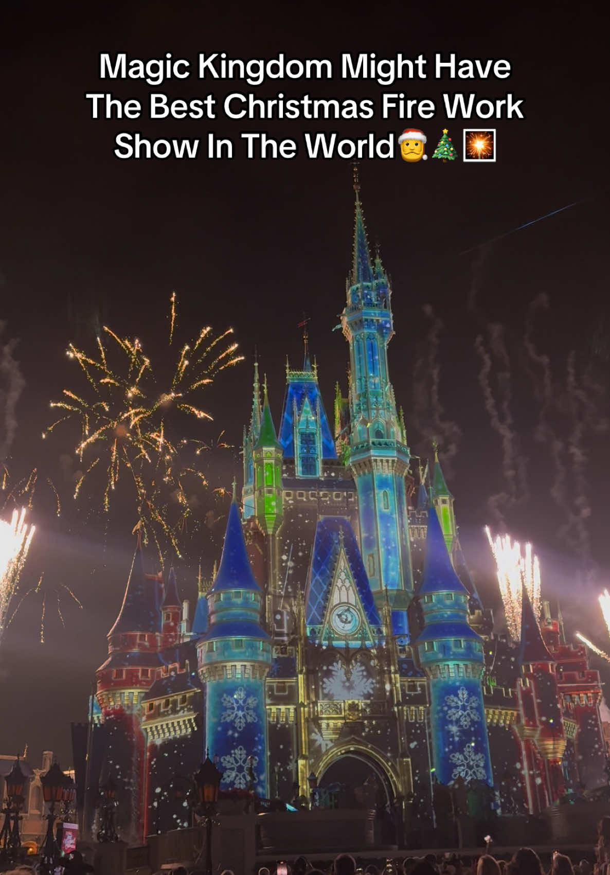 #magickingdom #disney #disneyworld #fireworks #christmas 