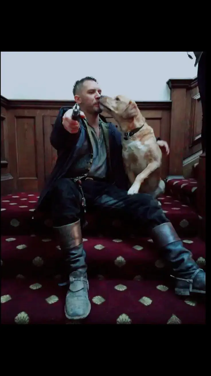 #tomhardy #topfan #tomhardyfan #fyp #fyppage #movie #doglover #myman #theman #hardy #picture #lovethismansomuch 