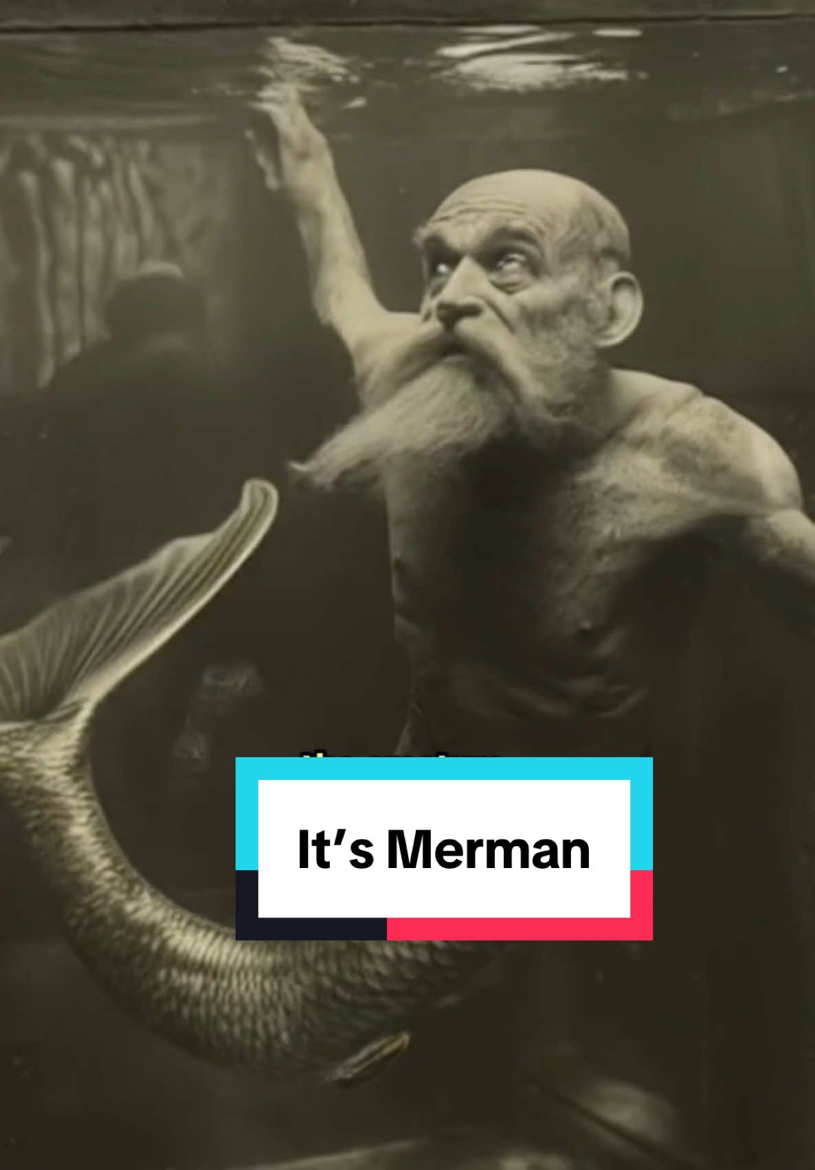 It's Merman!! #story  #storytime  #history  #scarystories  #creepy  #creepystory  #mermaid  #florida  #horror  #ocean  #foryou  #fy  #fypシ゚viral  #satire  #capcut 