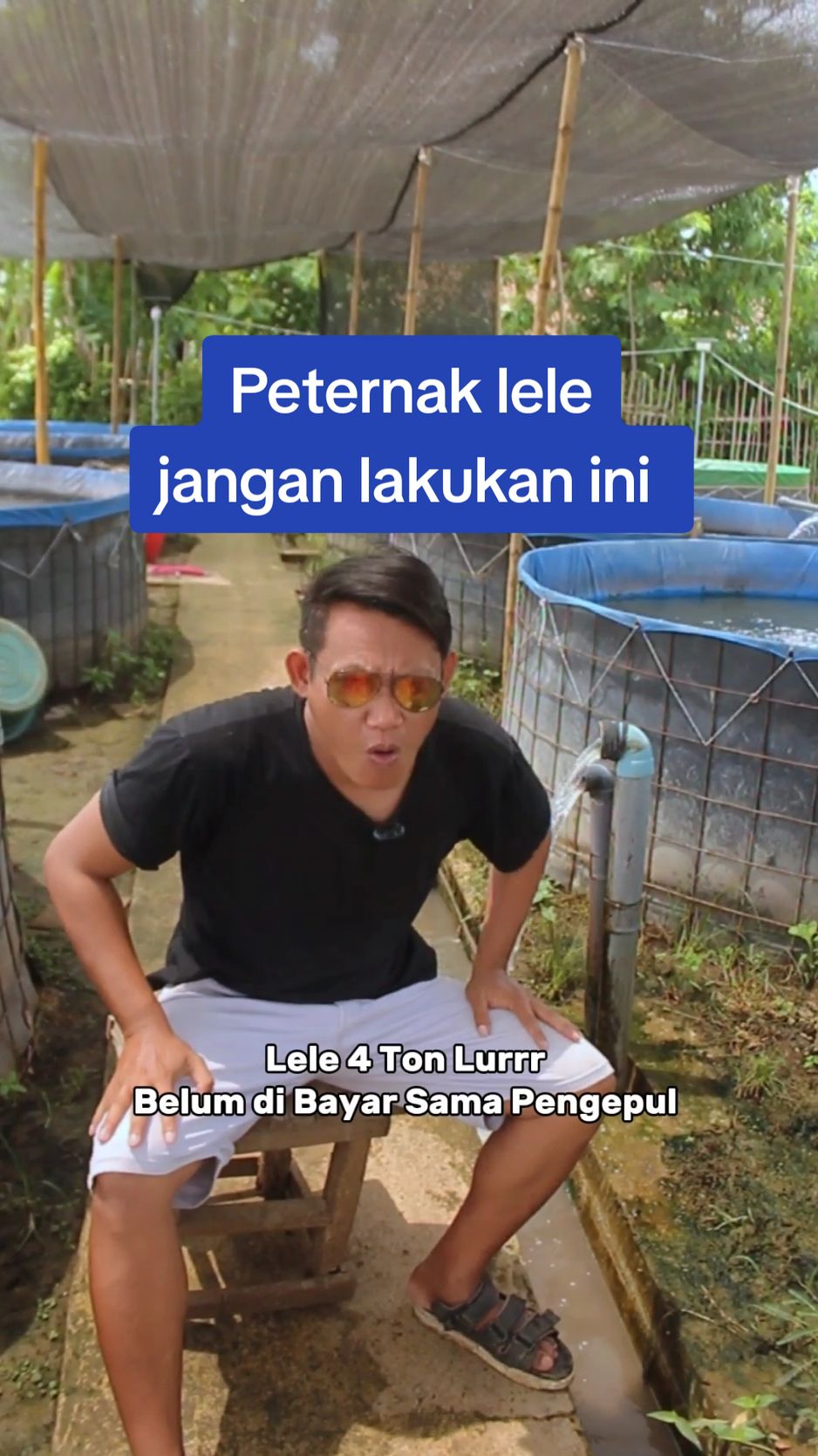 Peternak lele jangan lakukan ini budidaya lele sukses kolam terpal pemula #usaha #fyp #budhycreator #lele 